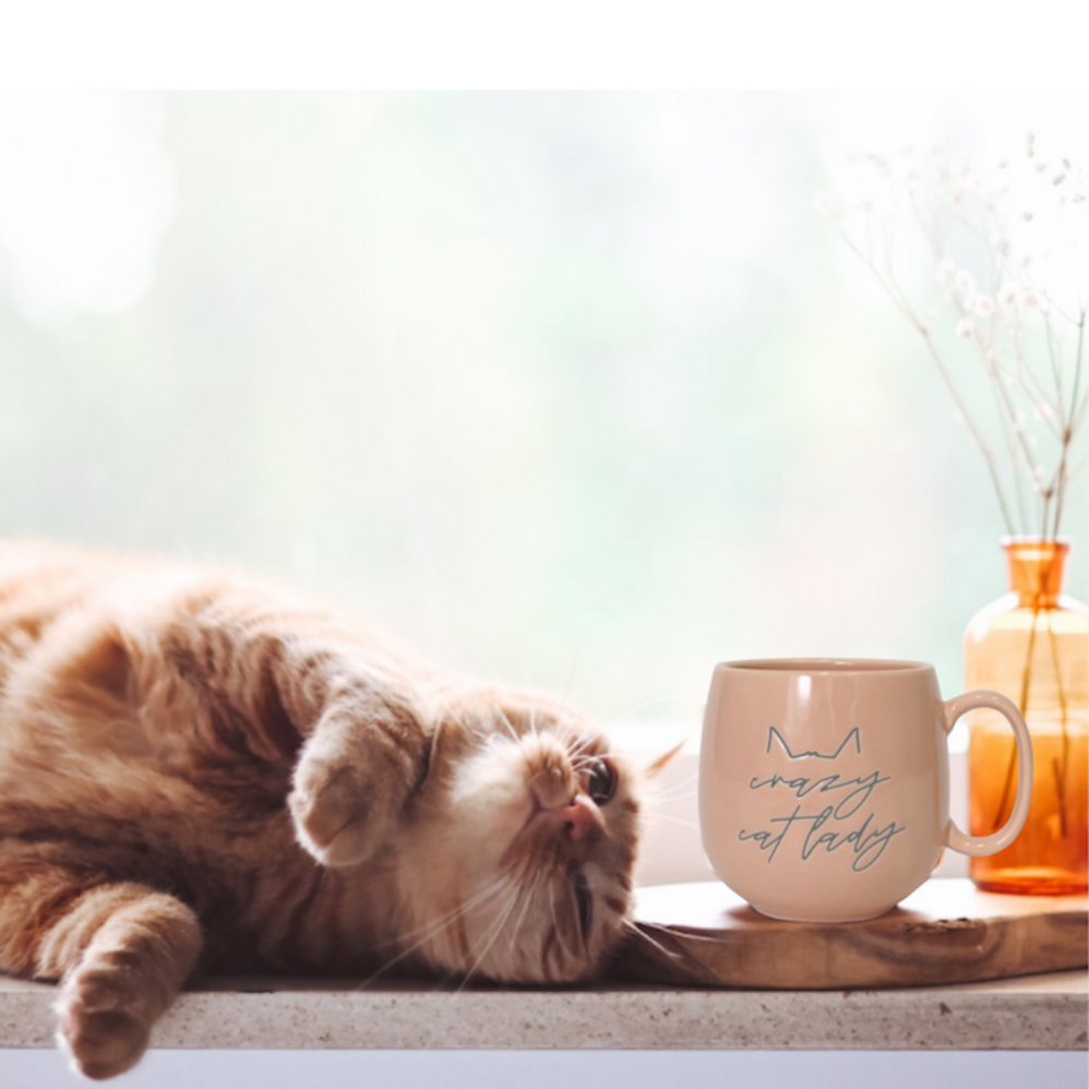 Cat Lay Mug
