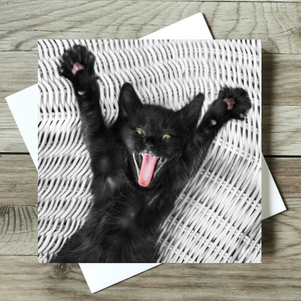 Cat Boarding Funny Cat Vines 2021 Yippee! Hilarious Black Cat