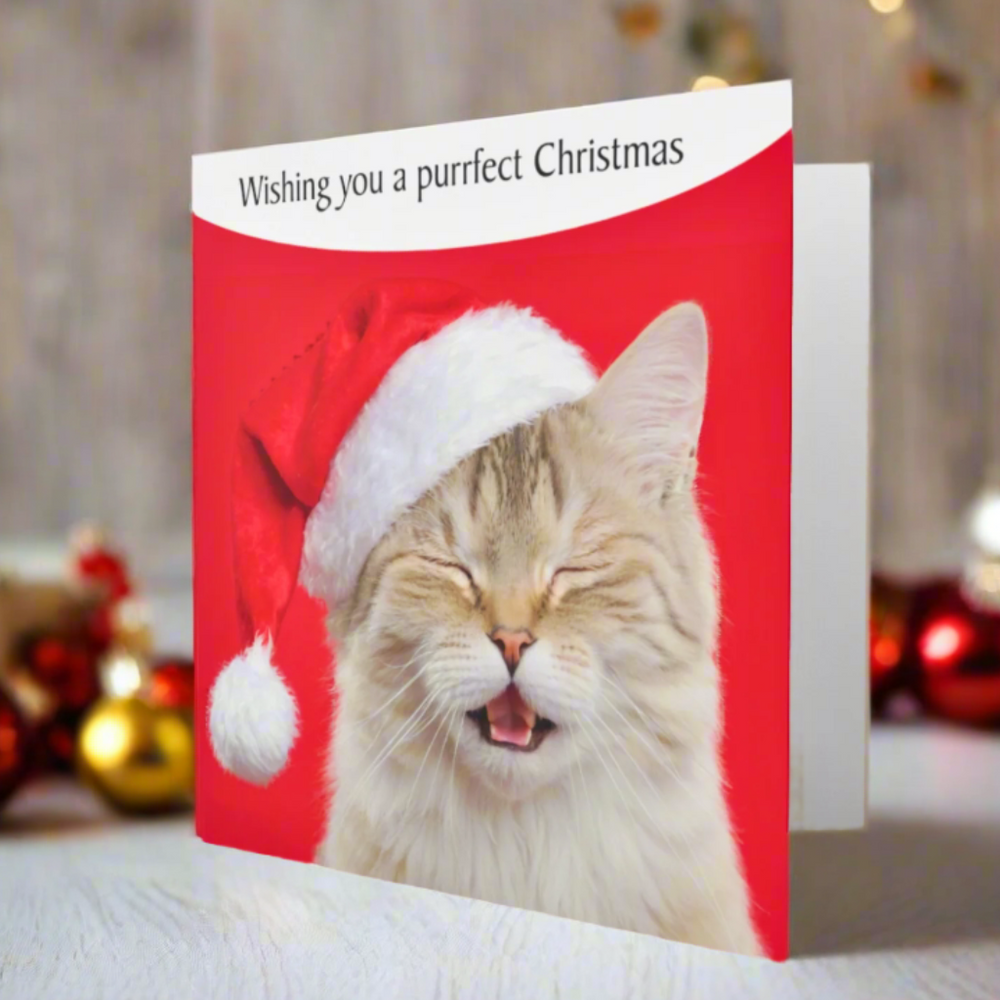 Purrfect Christmas Cat Greeting Card