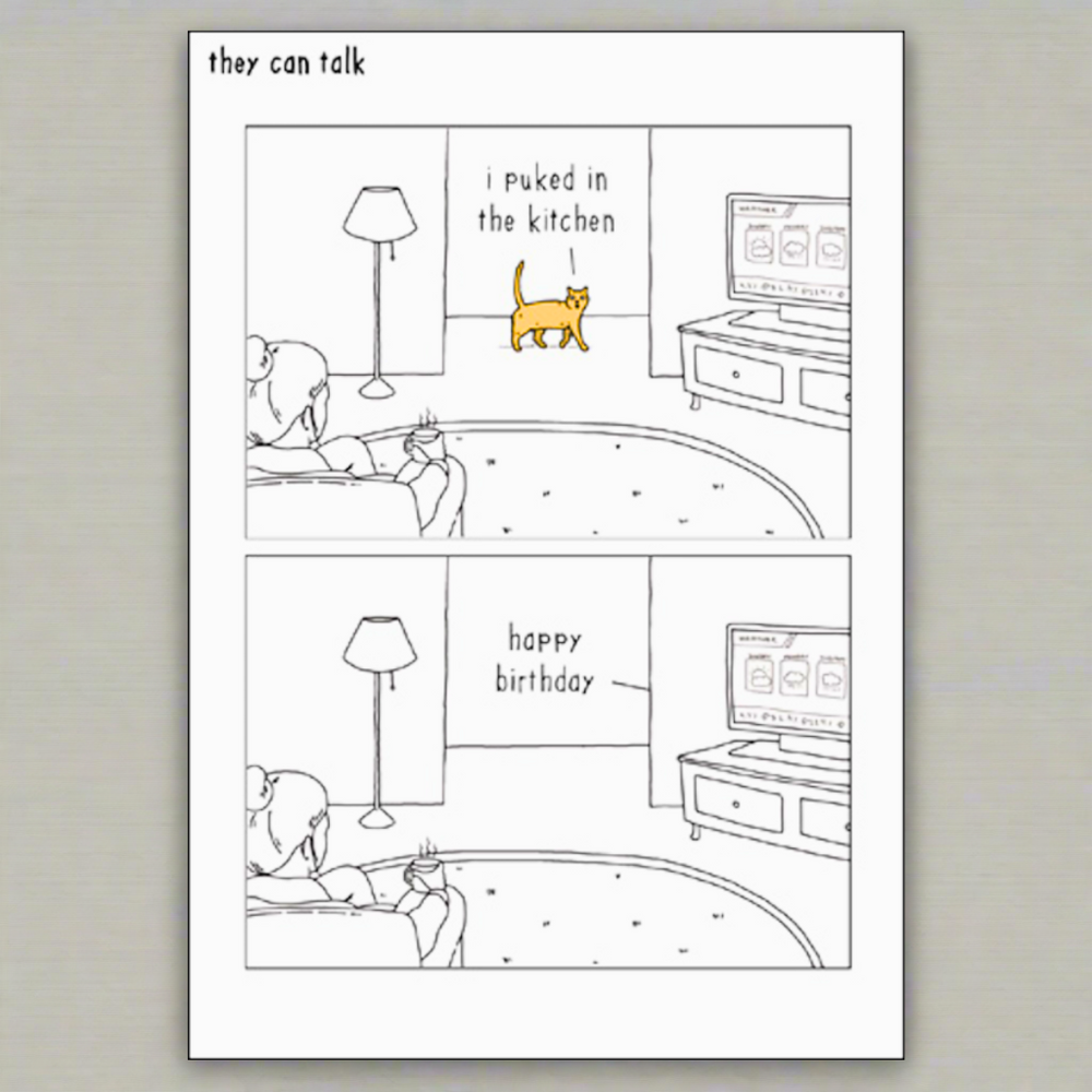 They Can Talk - I Eat Shoes - House Of Cards