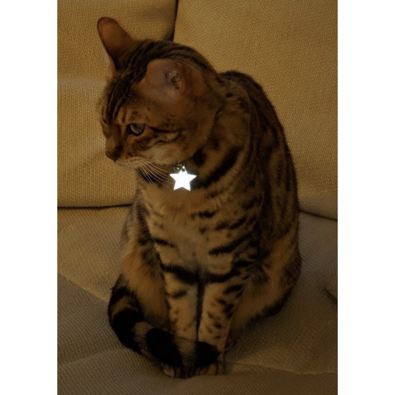 Kittyrama Reflective Star Collar Charm
