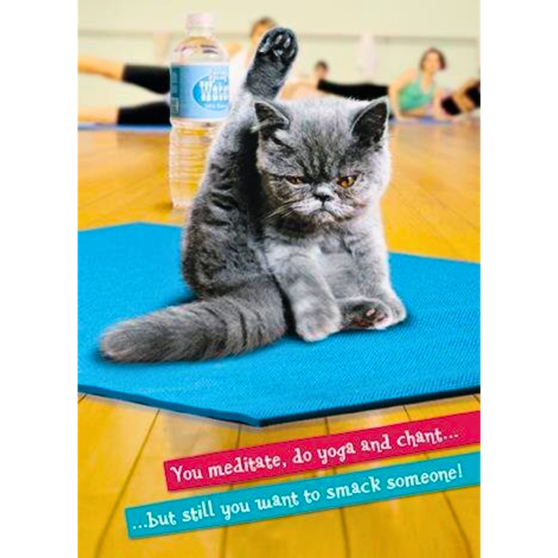 Meditate Funny Cat Birthday Card