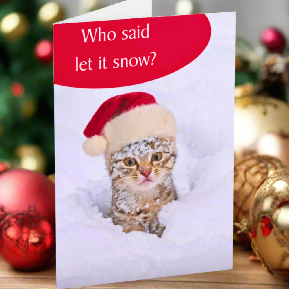 Who Said Let It Snow? – Funny Snow-Covered Cat Christmas Card