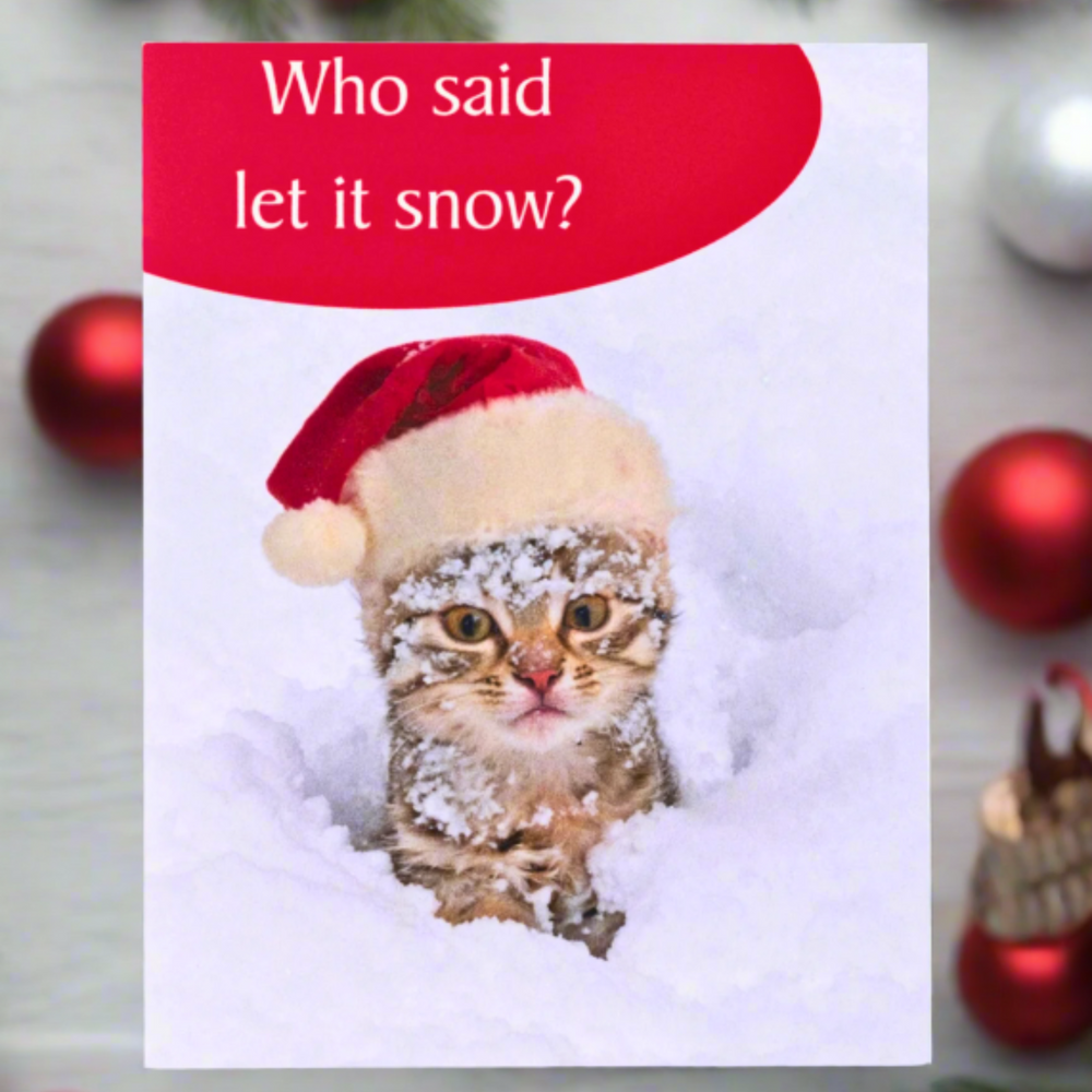 Who Said Let It Snow? – Funny Snow-Covered Cat Christmas Card