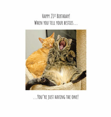 Cat Besties 21st Birthday Card