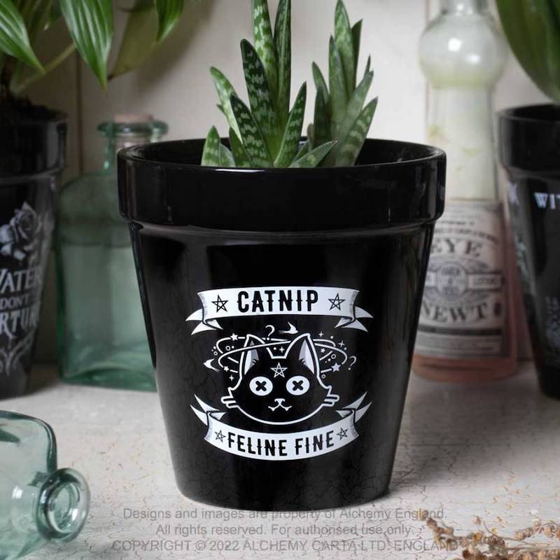 Feline Fine Catnip Black Cat Ceramic Plant Pot Holder