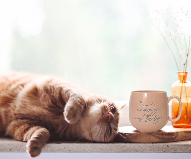 Crazy Cat Lady Splosh Colour Pop Mug with Gift Box