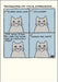 Facial Expressions Cat Greeting Card