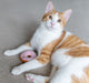 Feline Frenzy Kitty Creme Doughnuts Set of 3 Catnip Toy