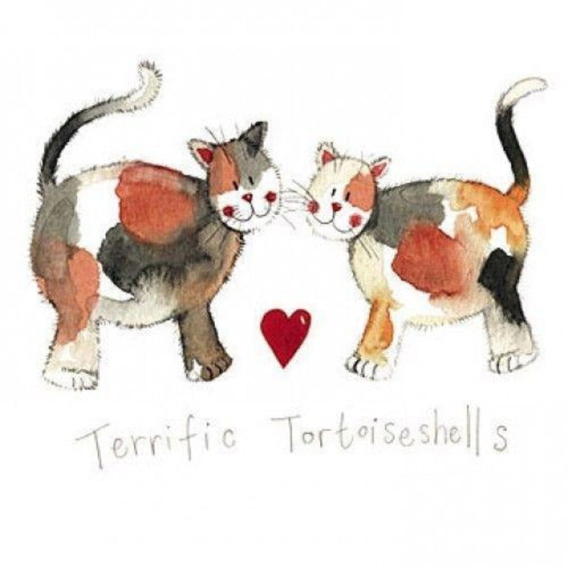 Terrific Tortoisehells Greeting Card
