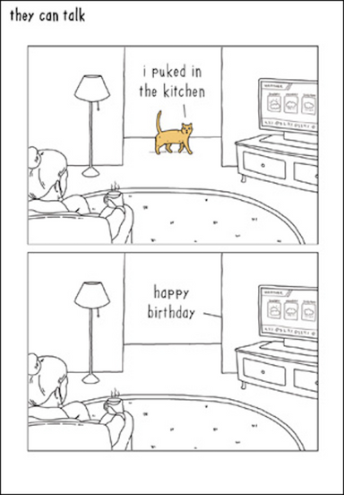 I Puked in the Kitchen Cat Greeting Birthday Card