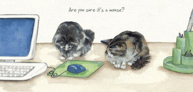 'Office Cats' Cat Greeting Card by Anna Danielle