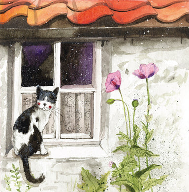 Window Cat Greetings Card