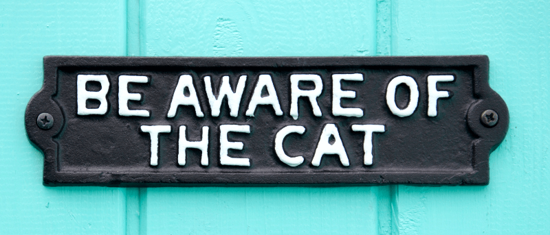 Be Aware of the Cat Cast Iron Plaque
