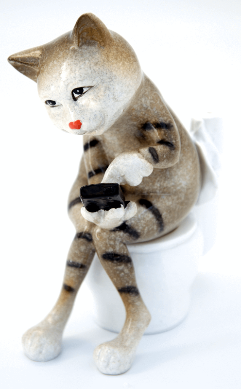 Brown Cat Texting on Toilet Ceramic Ornament Pen Holder