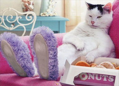 Donuts Funny Cat Birthday Card