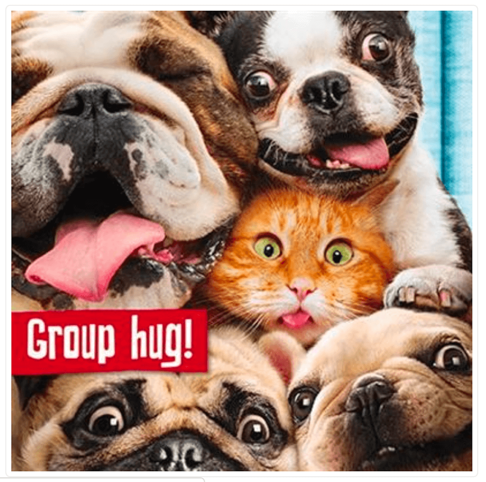 Group Hug Funny Cat & Dog 21st Birthday Card