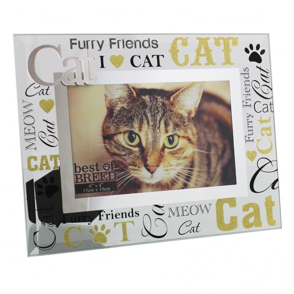 Glass Cat Picture Frame