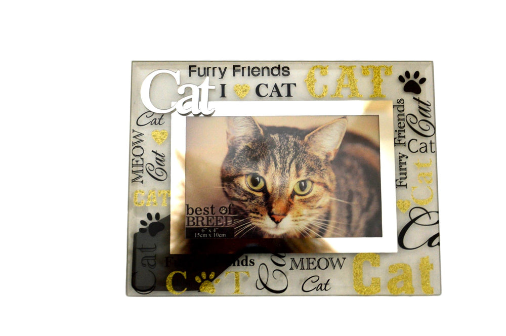 Glass Cat Picture Frame