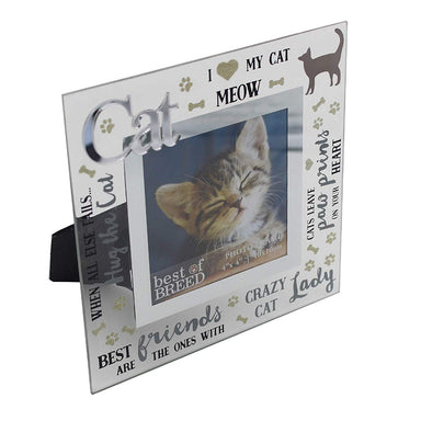 Glass Cat Embossed Picture Frame