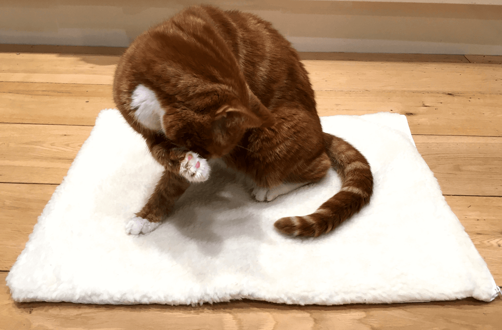 Snuggle Rug Self-Heating Pet Pad