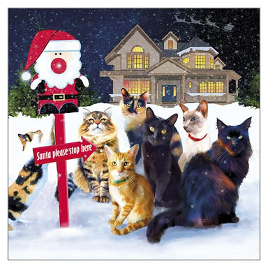 Denise Laurent Christmas Cat Greeting Card 'This Way Santa' Christmas Cat Greeting Card