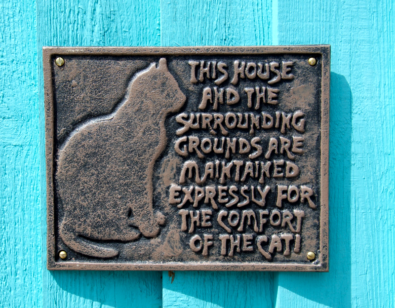 This House Cast Iron Hanging Plaque
