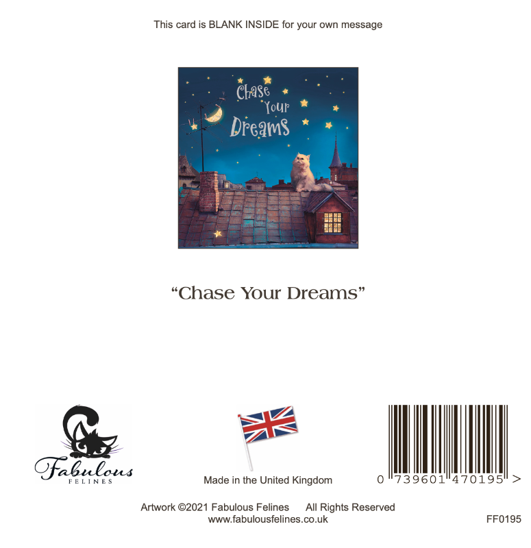 Chase Your Dreams Cat Greeting Card