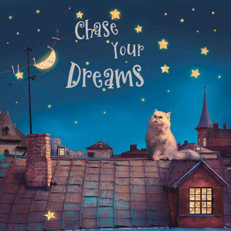 Chase Your Dreams Cat Greeting Card