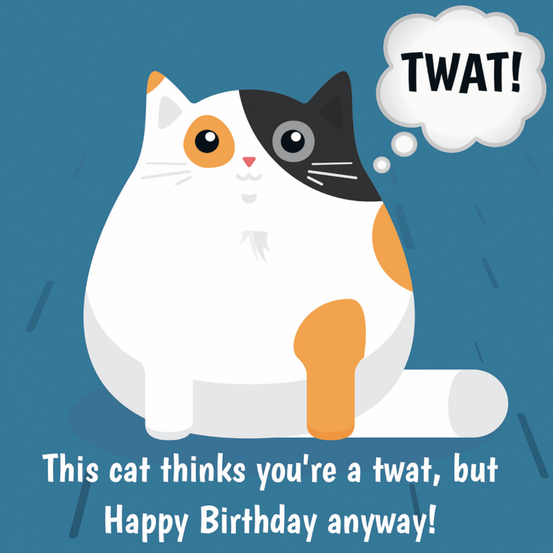 'This Cat Thinks You're a Twat' Cat Birthday Card