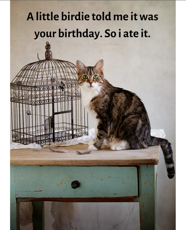 A Little Birdie Told Me Cat Birthday Card