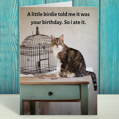 Funny Cat Birthday Card