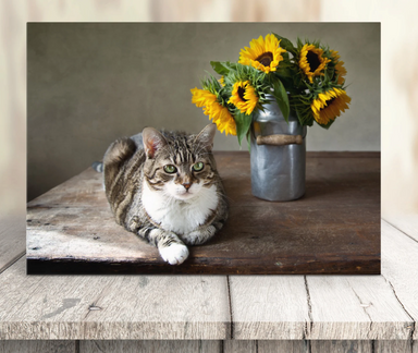 Sunflower - Cute Tabby Cat Greeting Card