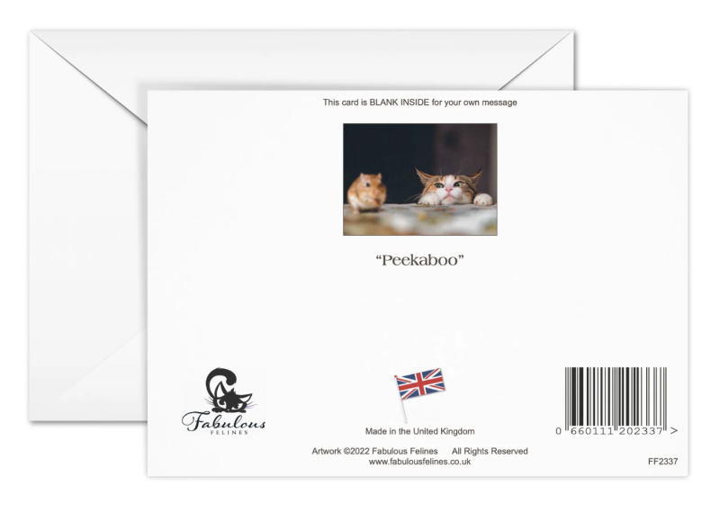 Peekaboo - Cute Cat & Mouse Greeting Card