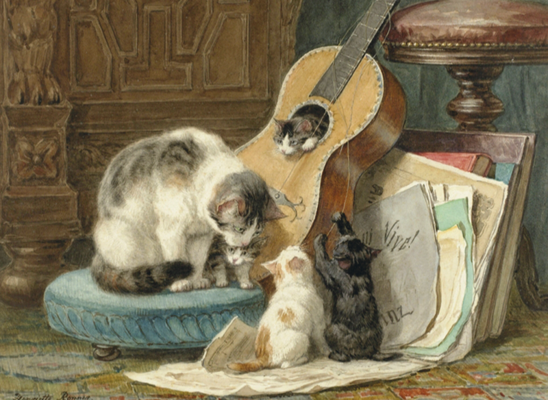 'The Musicians' Cat Greeting Card