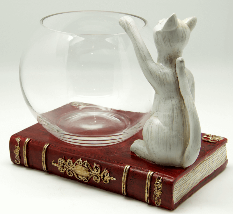 Cat clearance fish bowl