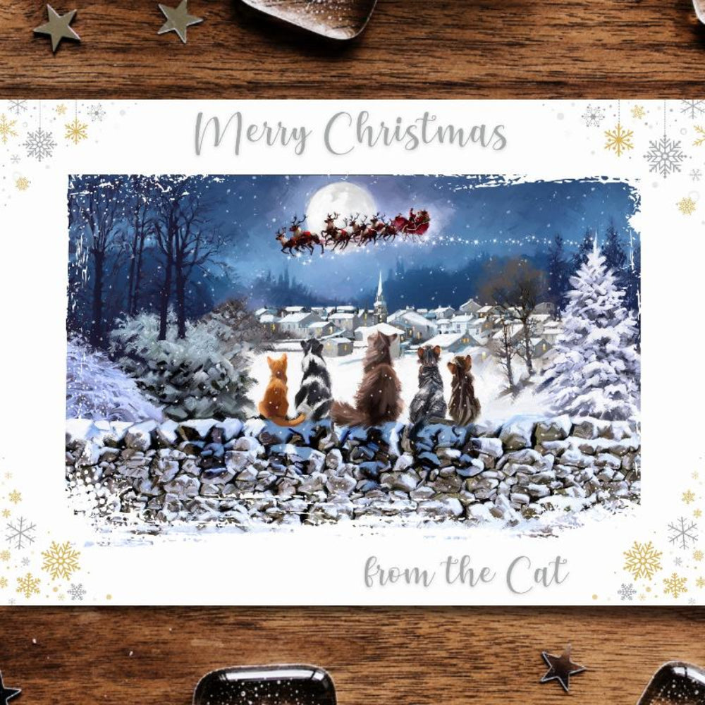 Christmas card with cats on a stone wall, Santa in the sky, and 'Merry Christmas from the Cat' text.