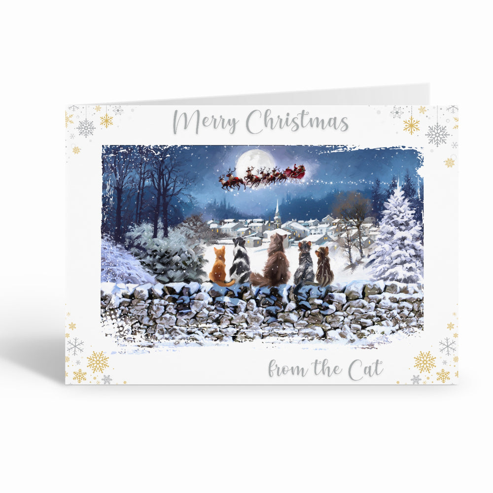 Richard Macneil From the Cat Christmas Cats Greeting Card