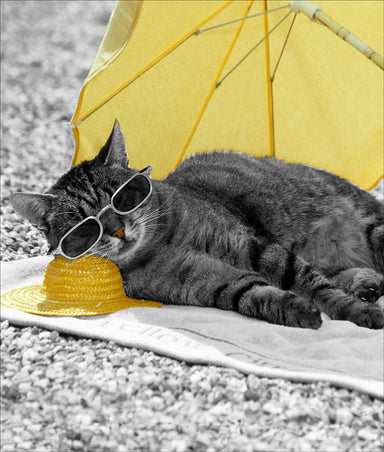 Sunshine Kitty Cat Greetings Card