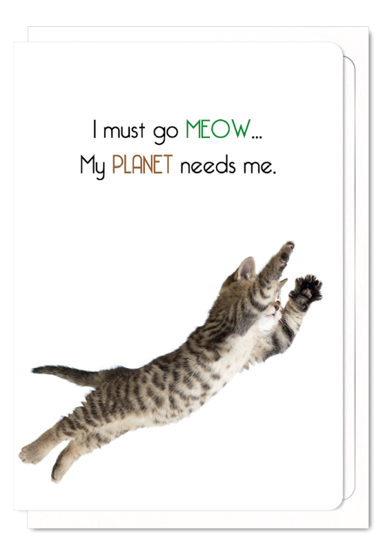 'I Must go Meow' Cat Greeting Card