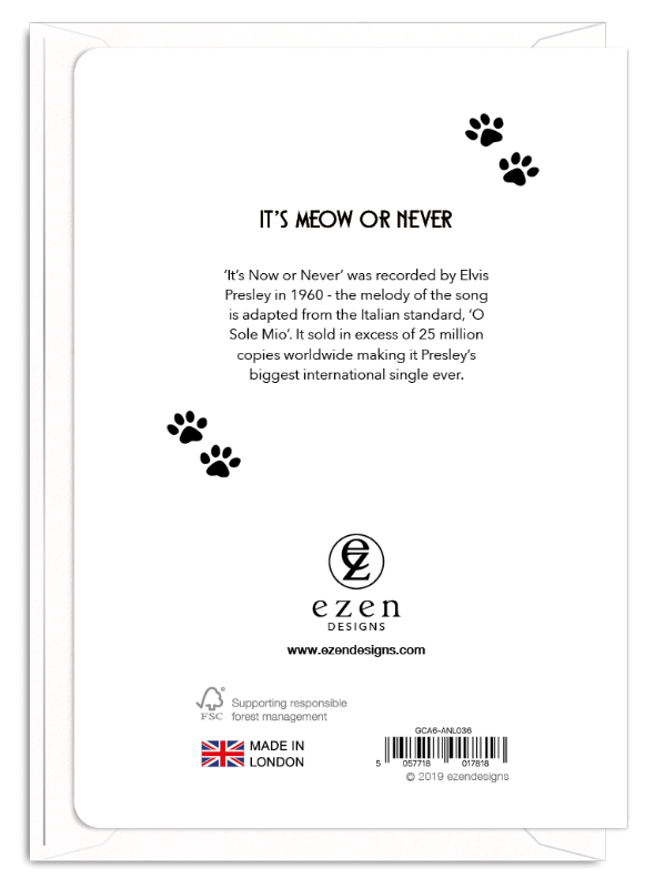 'It's Meow or Never' Cat Greeting Card