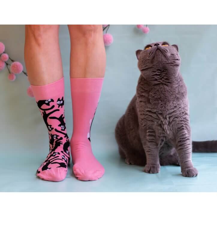 Pink Cats Regular Odd Socks