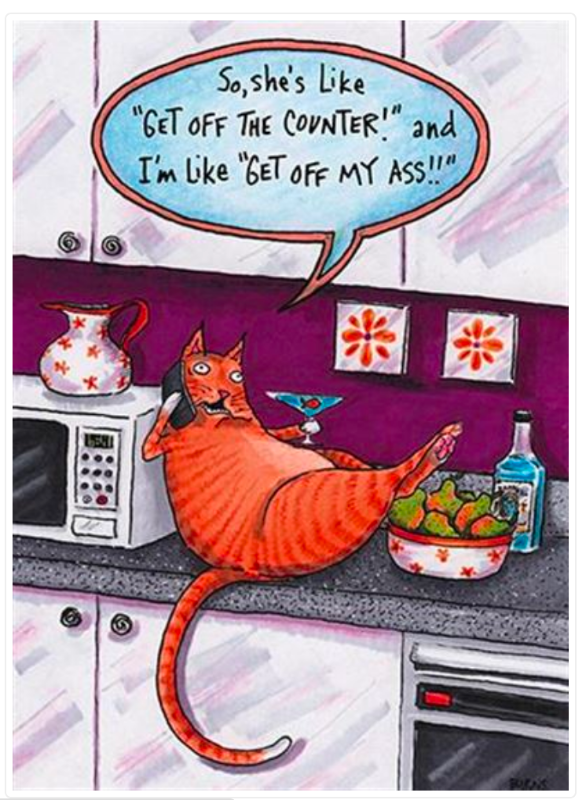 Cat on the Counter Birthday Greetings Card 