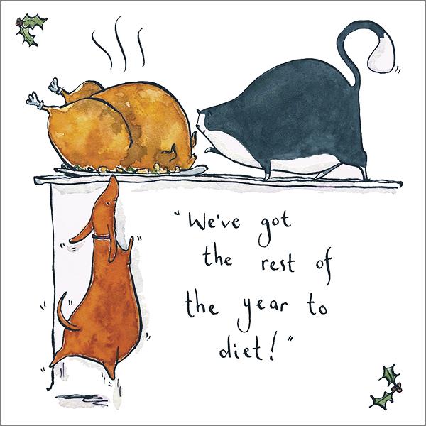 'Rest of the Year' Funny Cat Christmas Greeting Card by Holly Surplice