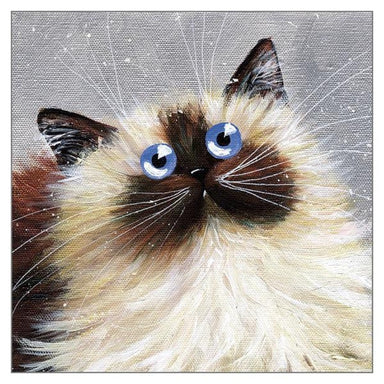 Kim Haskins Cat Themed Greeting Card Blue Eyes Cat Greeting Card