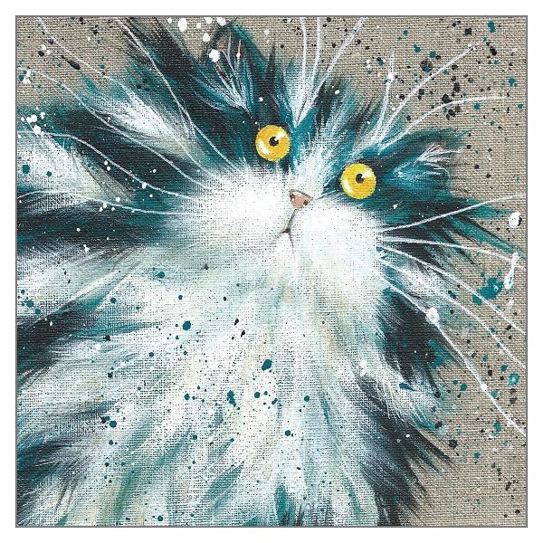 'Humbug' Cat Greeting Card by Kim Haskins