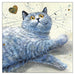 Kim Haskins Cat Themed Greeting Card 'Wilf' Cat Greeting Card