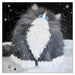 Kim Haskins Cat Themed Greeting Card 'Big Blod' Cat Greeting Card