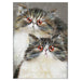 Kim Haskins Cat Themed Greeting Card 'Kaya and Sarani' Cat Greeting Card