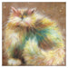 Kim Haskins Cat Themed Greeting Card 'Pompom' Cat Greeting Card